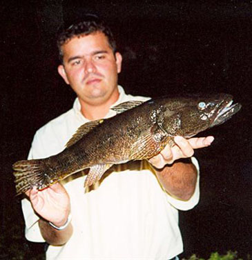 Record photograph for Gobiomorus dormitor